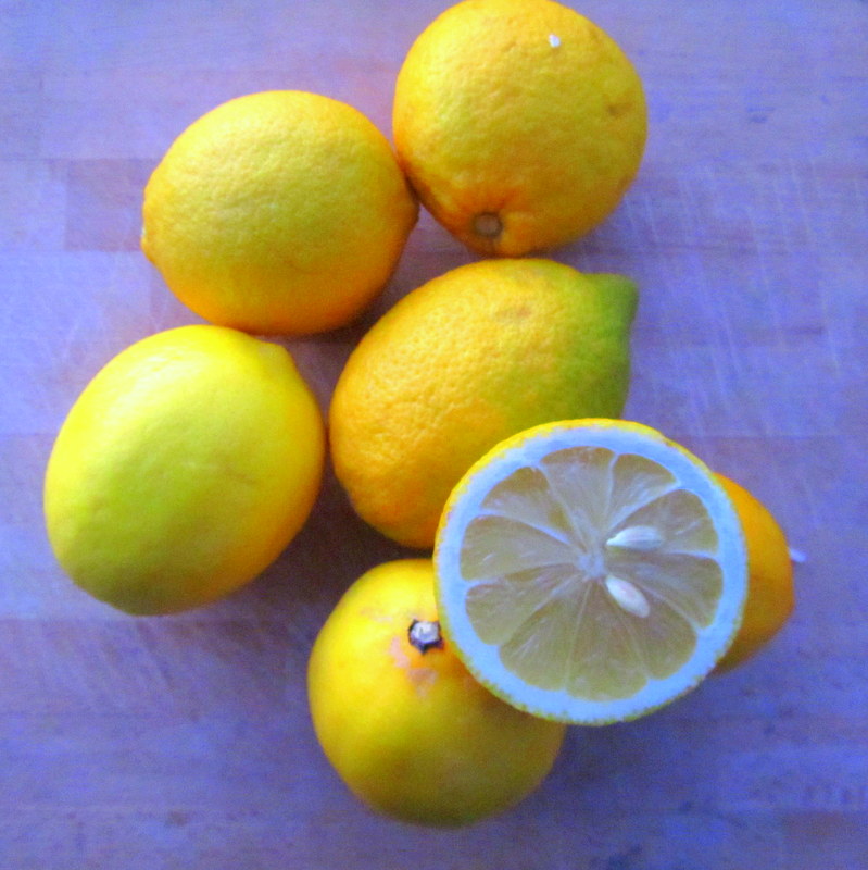 Zitronen Deo selbstgemacht- nachhaltig-biologisch-guenstig reisen