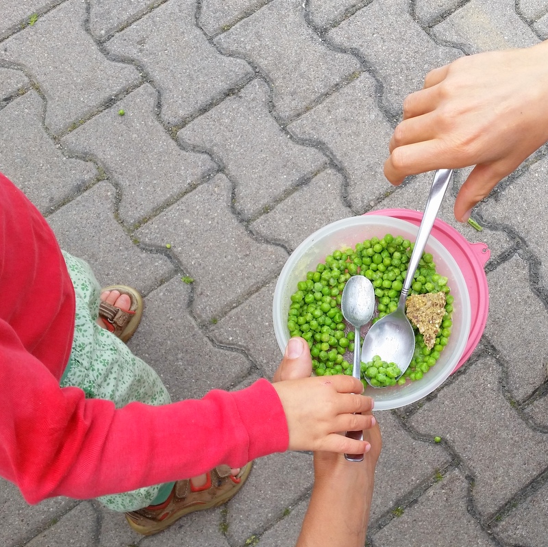 erbsen-mittagessen-green-ortsunabhängig-frei leben