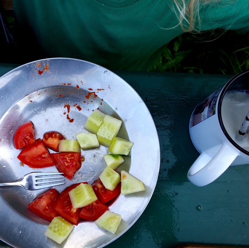 Gurken- Tomaten- Frühstück- Rohkost